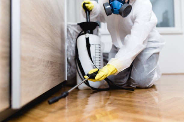 Best Rat Extermination Near Me  in Gulfport, MS