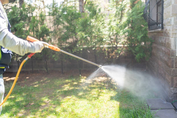 Best Bird Control  in Gulfport, MS