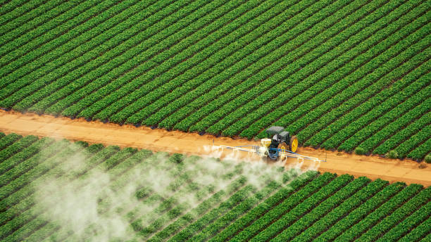 Reliable Gulfport, MS Pest Control Solutions