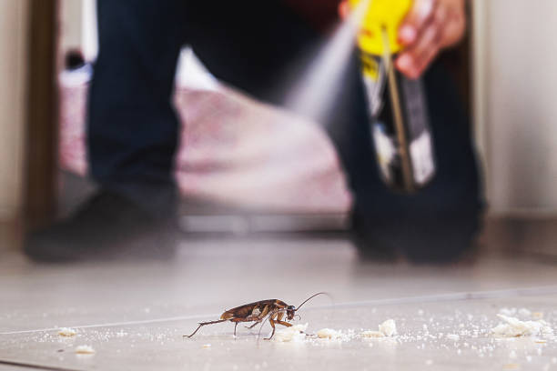 Best Residential Pest Control  in Gulfport, MS