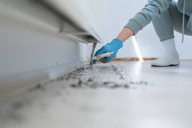 Best Best Pest Control Companies  in Gulfport, MS