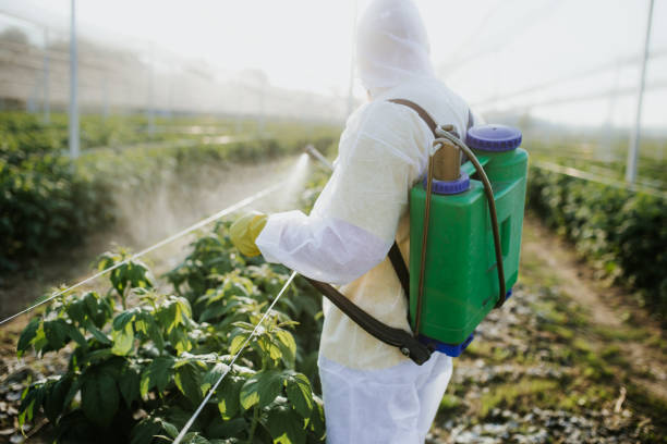 Best Pest Control Near Me  in Gulfport, MS